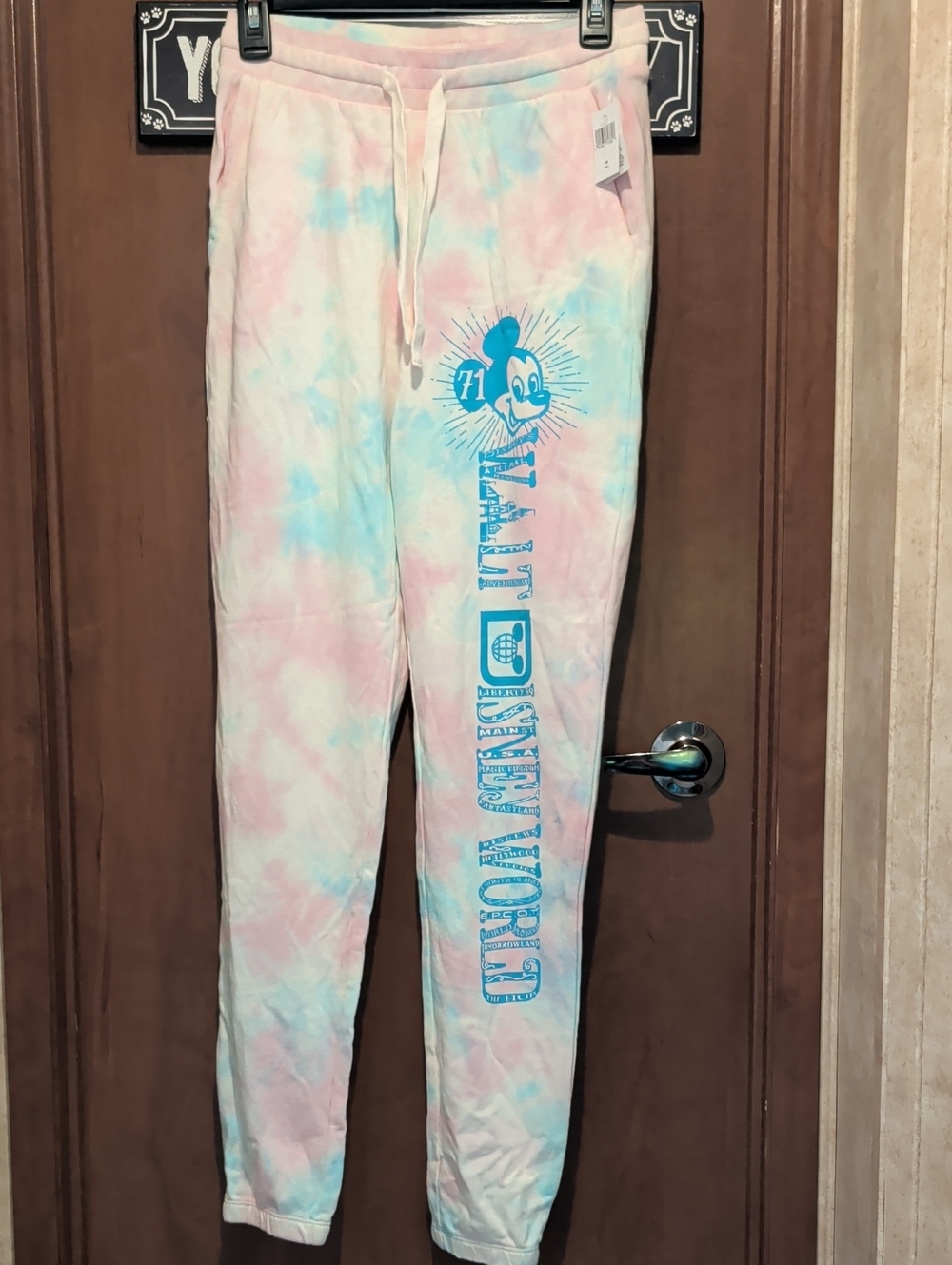 Disney Pink & Blue Tie-Dye Walt Disney World Joggers